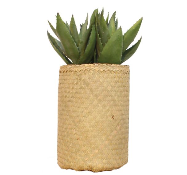 Plante artificielle Aloe Nairobie - Tanaman