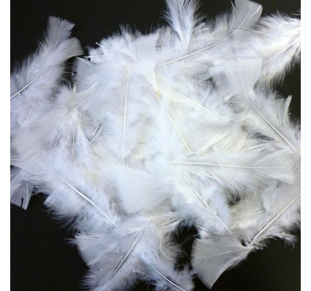 Plume blanche (Sachet de 100)