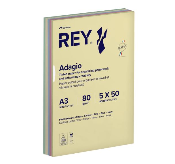 Ramette 250 feuilles A3 80g 5 teintes pastels assorties