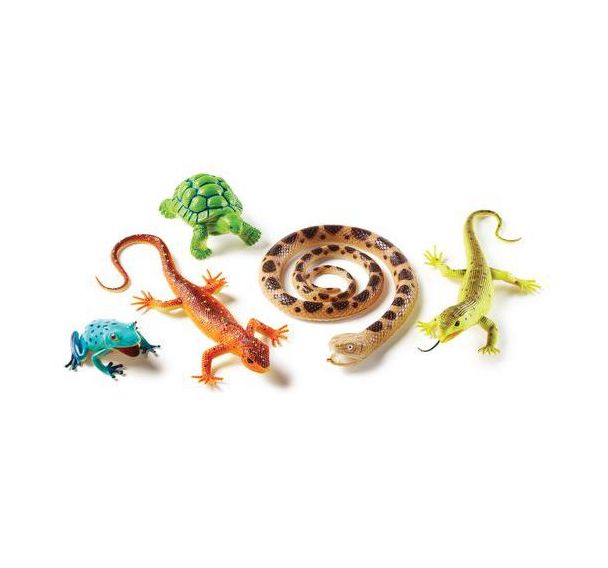 Reptiles et amphibiens géants