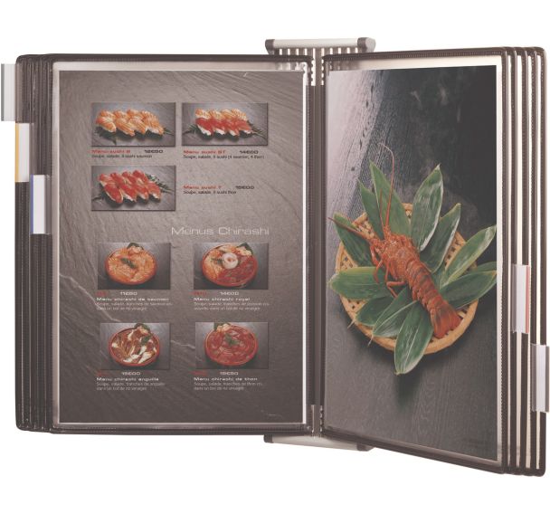 Support mural sur pivot pochette antimicrobienne Sterifold - Tarifold