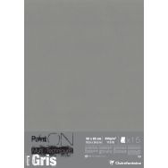 15 feuilles Paint'On Gris 50x65 250g