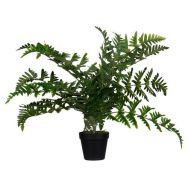 1 plante artificielle fougère 55 cm-Meet By Paperflow