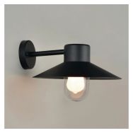 Applique en acier inoxydable globe en verre noir