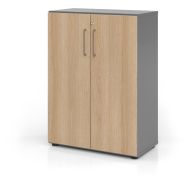 Armoire portes battantes à 3 étagères-Graphite-Chêne