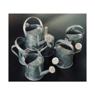 Arrosoir en zinc 60 x 120 x 60 mm (Lot de 6)