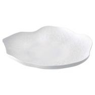 Assiette en porcelaine-Atlantis-Chef'S Collection-Vista Alegre