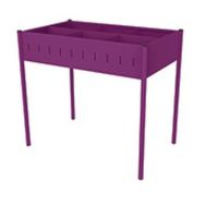 Bac albums DIONE 6 cases - prune