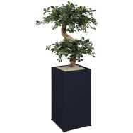 Bac carré Bonzaï sur roulettes noir