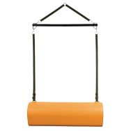 Balançoire de rééducation