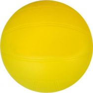 Ballon de volley