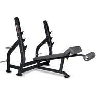 Banc Developpe Decline - Marque BH - Gamme Pro