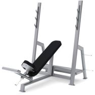 Banc Developpes Inclines Olympique LAROQ Tannac