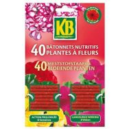 Bâtonnet nutritifs pour plantes à fleurs - étui de 40