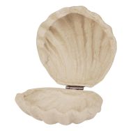 Boîte coquillage 12x12x5cm (Lot de 4)