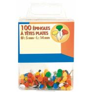 Boite de 100 épingles de signalisation tête plate couleurs assorties