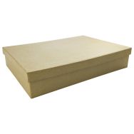 Boîte format A4 21x29,7x5,5cm (Lot de 4)