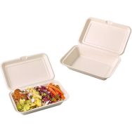 Boîte lunch en fibre 1 compartiments - 250x160x60 mm