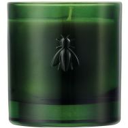 Bougie abeille parfumée cèdre et cyprès - 200g