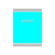 CONQUERANT Cahier Classique 17x22cm Grands Carreaux Seyès 60 Pages Agrafées Couverture Carte Recyclée Coloris Assortis