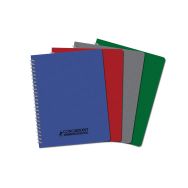 CONQUERANT Cahier Classique 17x22cm Petits Carreaux 5mm 100 Pages Reliure Intégrale Couverture Polypro Coloris Assortis