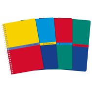 CONQUERANT Carnet 11x17cm Petits Carreaux 5mm 180 Pages Reliure Intégrale Couverture Carte Recyclée Coloris Assortis