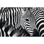 Cadre de décoration H65 x L 98 cm Zèbre