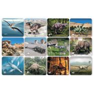 Cartes et radiographies dinosaures (24 pièces)