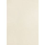 Carton 'veiné cuir' (Boite de 100)  - ivoire