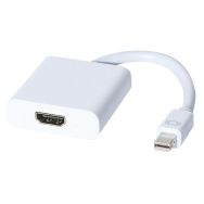 Convertisseur mini DisplayPort