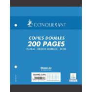 Copies doubles 200 pages 70g 17x22 cm perforées seyes NF 81 (Etui de 50)