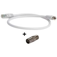 Cordon balun RJ45/IEC Mâle - CORDBALRJFIEC250 - C.A.E