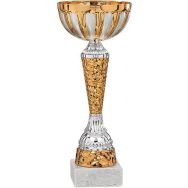 Coupe ECO 31 cm