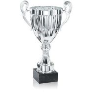 Coupe argent 2 anses rainurée premium