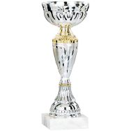 Coupe economique - argent - victoire