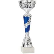 Coupe economique - argent/bleu - victoire