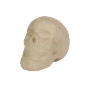 Crâne 12cm (Lot de 4)