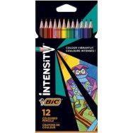 Crayon de Couleur Intensity Triangulaire Mine Douce assortis