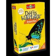 Défis nature - insectes