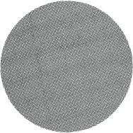 Disque auto-agrippant Screen Back Q43N Ø225x0mm - Norton