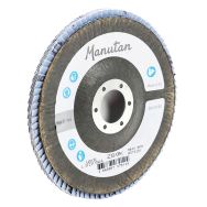 Disques à lamelles bombés Ø 125 mm - Manutan Expert