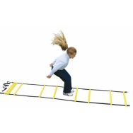 Echelle de motricité