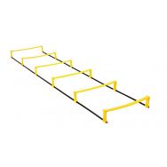 Échelle de rythme relevable en haies