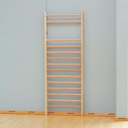 Espalier simple ges hauteur 2,30 m