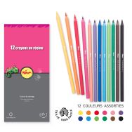 Etui de 12 crayons couleurs 18 cm résine Pichon