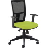 Fauteuil Ritz accoudoir fixe dossier résille noire - Manutan Expert