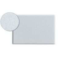 Feuille blanc Ingres école 80 g Canson (Paquet de 250)