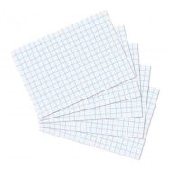 Feuille bristol 224g blanc quadrillé 5 x 5 (Paquet de 10)