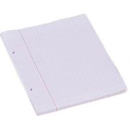 Feuillet recharge classeurs 90g 100p 17x22 cm seyes blanc NF 88 (Etui de 50)