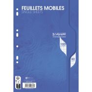 Feuillets mobiles sous film 7000 A4 80g - Calligraphe